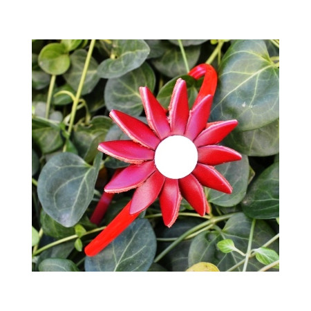 Diadema cuero