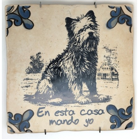 Baldosa de cerámica decorativa con frases y monumentos de Ayllón