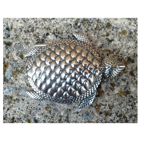 Hebilla Tortuga