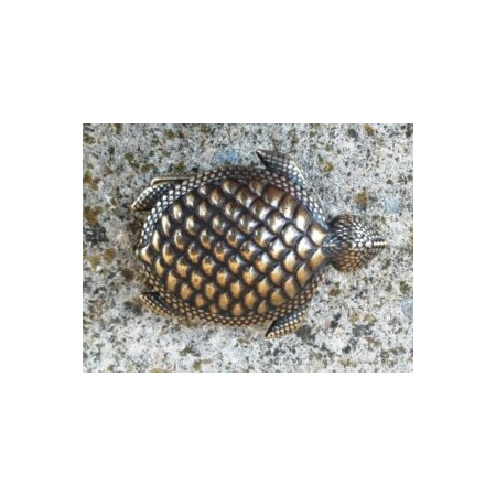 Hebilla Tortuga