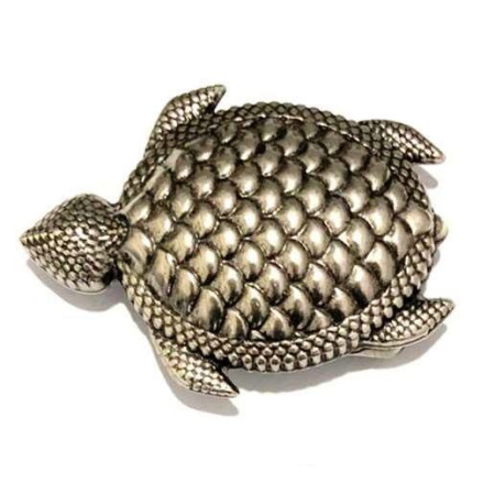 Hebilla Tortuga