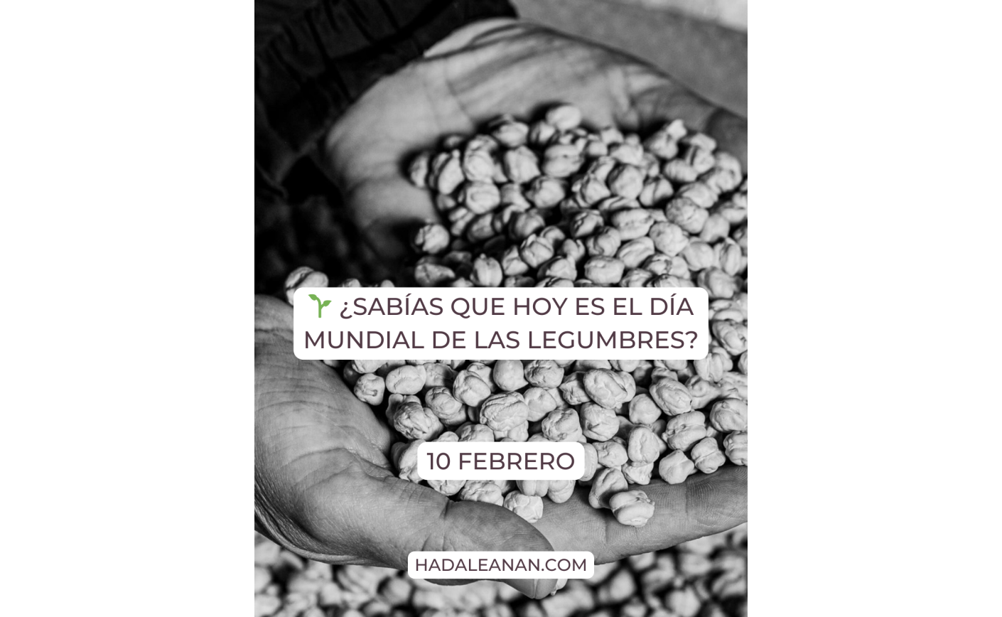 ¿Sabías que hoy es el Día Mundial de las Legumbres?
