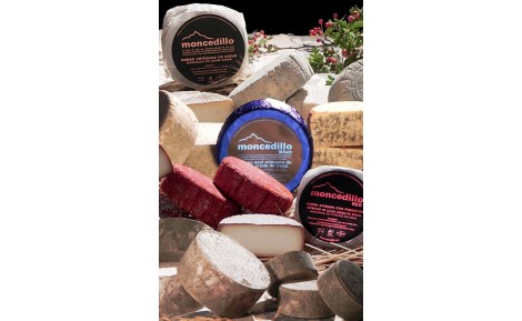 Día Mundial del Queso – Quesos artesanos de Segovia