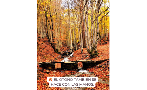 El otoño inspira nuestra artesanía