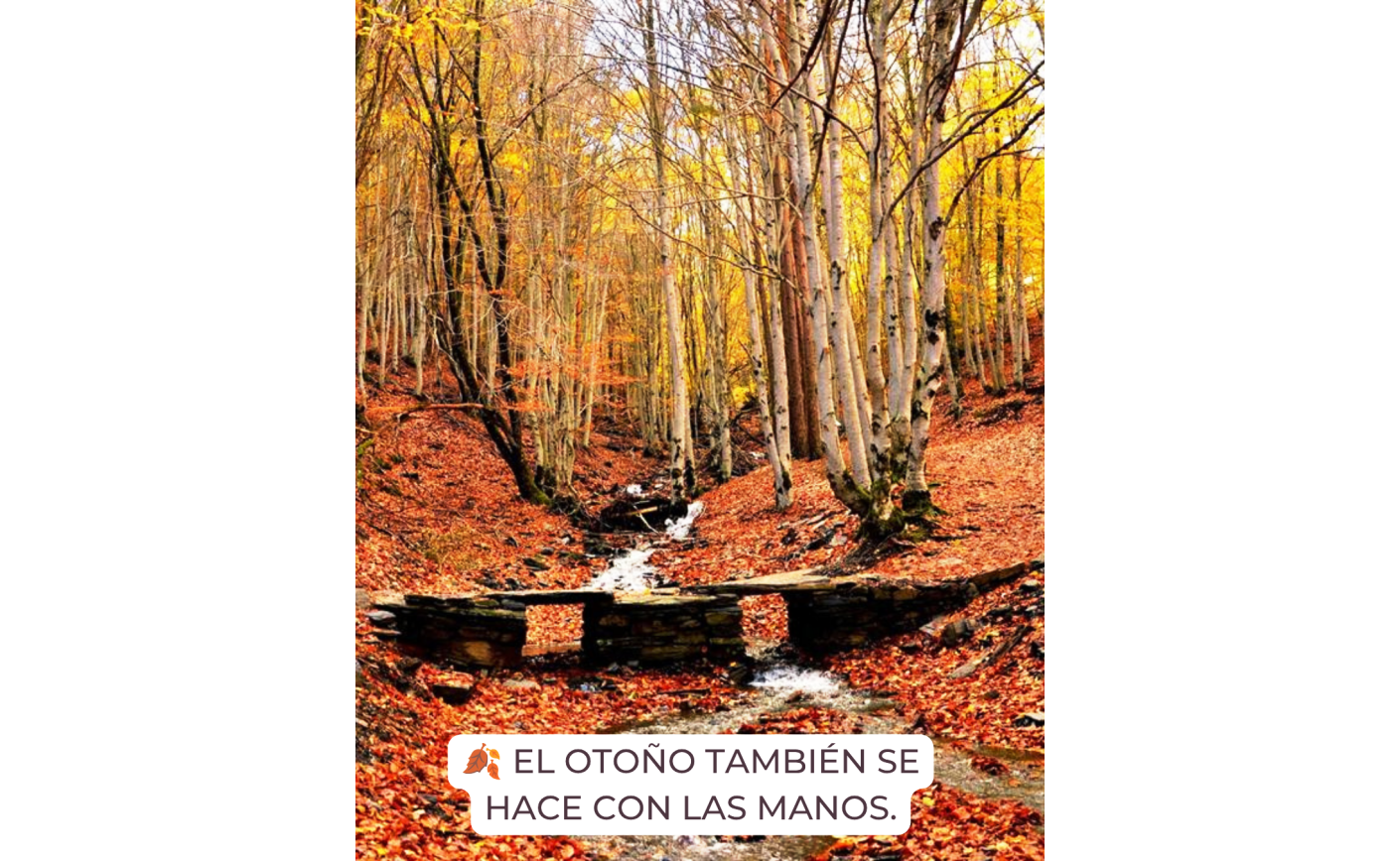 El otoño inspira nuestra artesanía
