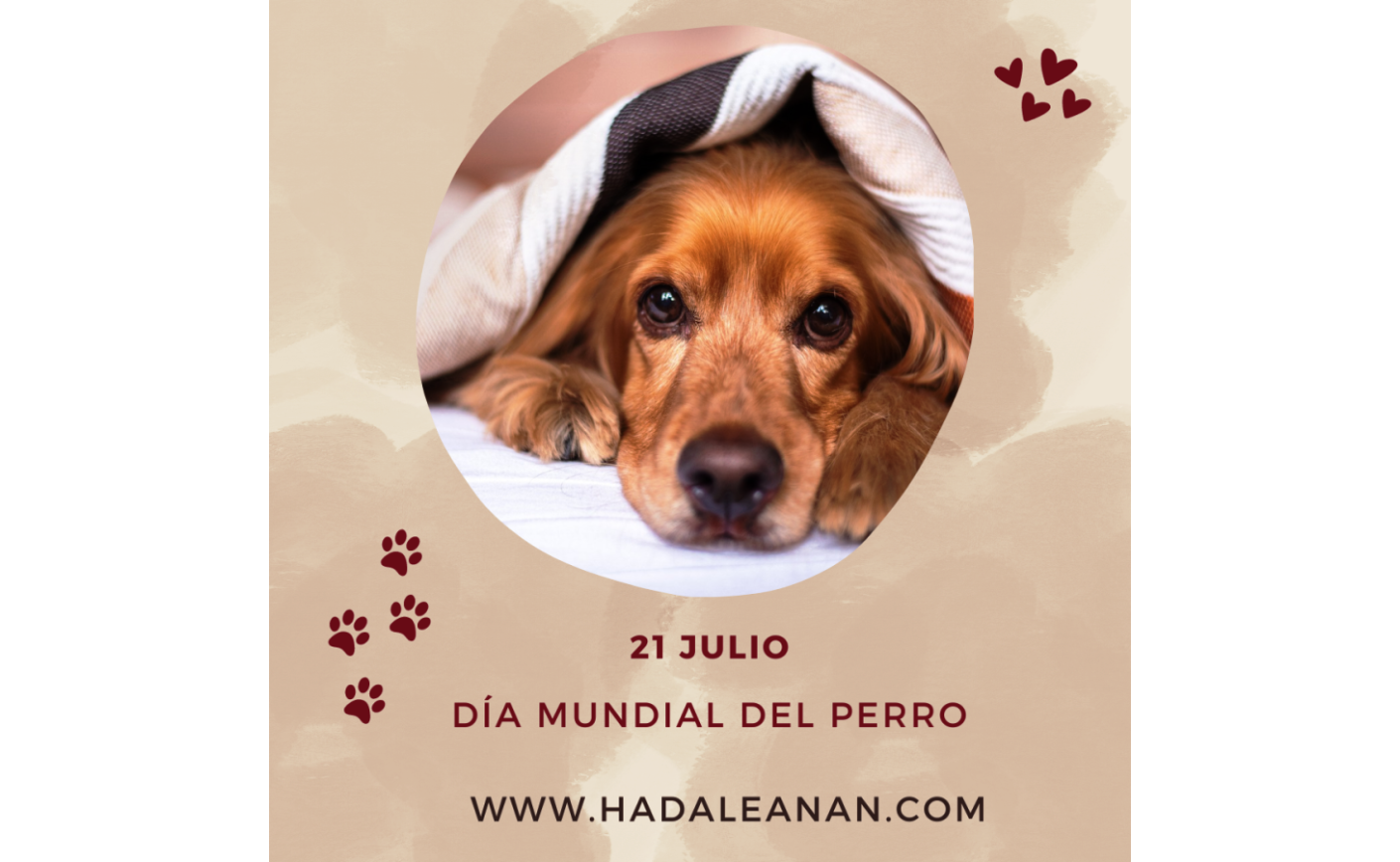 ¡¡ Feliz Día del perro !! ❤️  